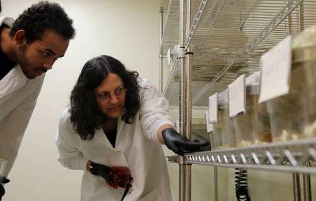 Professor and student in animal lab